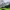 https://res.cloudinary.com/billionhands/image/upload/v1775177809/items/txkkbkpfqweqnfr2a1fv.jpg-0cover