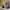 https://res.cloudinary.com/billionhands/image/upload/v1775180734/items/r6vemvsisz5otknc4dma.jpg-2cover