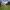 https://res.cloudinary.com/billionhands/image/upload/v1775180735/items/i8kdrzea1xt2x09sttwg.jpg-1cover
