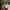 https://res.cloudinary.com/billionhands/image/upload/v1775181176/items/vdz9idl24en4xzzkubut.jpg-1cover