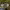 https://res.cloudinary.com/billionhands/image/upload/v1775181317/items/gkpm3f3rd12jkao6j6x3.jpg-0cover
