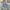 https://res.cloudinary.com/billionhands/image/upload/v1775183537/items/ae7rxqaqsfnumdw9ufzw.webp-1cover