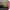 https://res.cloudinary.com/billionhands/image/upload/v1775183645/items/uenugcqbtt1hksgvtscj.webp-2cover