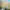 https://res.cloudinary.com/billionhands/image/upload/v1775183668/items/av4vwz4kjtlziievgmic.jpg-2cover