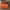 https://res.cloudinary.com/billionhands/image/upload/v1775184069/items/je3hu8nefqjdhv0kttdg.jpg-0cover