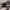 https://res.cloudinary.com/billionhands/image/upload/v1775184186/items/qw4fuoloeiqzzmq36wit.jpg-1cover