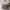 https://res.cloudinary.com/billionhands/image/upload/v1775184301/items/radwerc3b6gshrl1aelq.jpg-0cover
