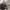 https://res.cloudinary.com/billionhands/image/upload/v1775184376/items/xppgec1khcqzjbd4aof5.jpg-1cover