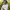 https://res.cloudinary.com/billionhands/image/upload/v1775184386/items/bs1c5uzqvqkjewxas1be.jpg-2cover
