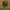 https://res.cloudinary.com/billionhands/image/upload/v1775184419/items/ht9iemgt68fwad7rvkyj.avif-1cover