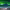 https://res.cloudinary.com/billionhands/image/upload/v1775184472/items/gtbx7kpdpbd8yxjnb0xx.jpg-2cover