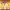 Golden (HUNTR/X) (2026) cover