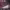 https://res.cloudinary.com/billionhands/image/upload/v1775184625/items/moycglxun7e2rfmcd0ct.jpg-1cover