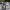 https://res.cloudinary.com/billionhands/image/upload/v1775184853/items/ta5hjeq5byw8mkifyym6.jpg-0cover
