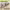 https://res.cloudinary.com/billionhands/image/upload/v1775184854/items/pdkrplz2u3osdteewwqz.jpg-2cover