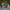 https://res.cloudinary.com/billionhands/image/upload/v1775184955/items/vdyhgnxus3jdym2inonk.jpg-0cover