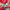 https://res.cloudinary.com/billionhands/image/upload/v1775184988/items/rik3vr5om8vkjchpznpe.webp-1cover