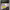 https://res.cloudinary.com/billionhands/image/upload/v1775185174/items/hsovcrimfglw9nvtrnkd.jpg-3cover