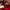 https://res.cloudinary.com/billionhands/image/upload/v1775185401/items/ealh8g8fjywdaaecb8vs.jpg-0cover