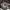 https://res.cloudinary.com/billionhands/image/upload/v1775185423/items/u4qh4jyvoej1x8vmczvk.avif-3cover