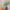 https://res.cloudinary.com/billionhands/image/upload/v1775185669/items/cpae2qhbewxrsda9xcbw.jpg-1cover