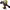 https://res.cloudinary.com/billionhands/image/upload/v1775185864/items/smbdxno3kiw450hce4r6.jpg-2cover