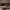 https://res.cloudinary.com/billionhands/image/upload/v1775185983/items/ylxoiv80a9lpd1xaesgy.webp-3cover