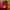 https://res.cloudinary.com/billionhands/image/upload/v1775185987/items/nhvjbaeyo47bcsaj40os.jpg-2cover
