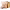 https://res.cloudinary.com/billionhands/image/upload/v1775186072/items/ca5grl34hb0os5f70z7o.png-1cover