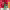 https://res.cloudinary.com/billionhands/image/upload/v1775186163/items/ytjcpyn30lwnynngc7am.jpg-0cover
