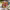https://res.cloudinary.com/billionhands/image/upload/v1775186172/items/zoqzgkzjtzxtj82snzd6.webp-1cover