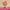 https://res.cloudinary.com/billionhands/image/upload/v1775186232/items/zj1zhhdsn6ckh8nb5ezc.jpg-2cover