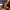 https://res.cloudinary.com/billionhands/image/upload/v1775186242/items/tmwgojvjxhrdoq9geezx.webp-0cover
