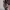 https://res.cloudinary.com/billionhands/image/upload/v1775186244/items/tjviz9gwunbdsrswaxzz.webp-2cover
