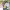 https://res.cloudinary.com/billionhands/image/upload/v1775186488/items/ftmve3bopvq2thlzjck7.jpg-3cover