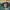 https://res.cloudinary.com/billionhands/image/upload/v1775186489/items/vye9c4crjiqj4zccofgz.jpg-2cover