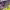 https://res.cloudinary.com/billionhands/image/upload/v1775186533/items/ilzvp0yifykyrbvhgv1g.webp-1cover