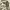 https://res.cloudinary.com/billionhands/image/upload/v1775186539/items/yubakj8ws7tz7dliqnci.jpg-2cover