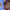 https://res.cloudinary.com/billionhands/image/upload/v1775186573/items/dd4e6jg5xjklcaj0txtt.webp-0cover