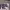 https://res.cloudinary.com/billionhands/image/upload/v1775186652/items/o9aj9irnjlcnbrda1ftw.webp-1cover