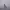 https://res.cloudinary.com/billionhands/image/upload/v1775186700/items/sx9ojnk4oibhiayc13xz.jpg-1cover