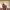 https://res.cloudinary.com/billionhands/image/upload/v1775186799/items/kw0ctxizpyt2vjvymn2y.jpg-2cover