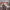 https://res.cloudinary.com/billionhands/image/upload/v1775186800/items/ql9ujy7ar1xj1ci9hsvv.jpg-3cover