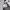 https://res.cloudinary.com/billionhands/image/upload/v1775186935/items/irz3qarbfmbsrzebgt0s.webp-3cover