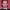 https://res.cloudinary.com/billionhands/image/upload/v1775186947/items/knnhyaanpbj1k10kupht.jpg-0cover
