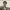 https://res.cloudinary.com/billionhands/image/upload/v1775186948/items/xkmhkp0taes06bcpwjdl.webp-0cover
