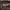 https://res.cloudinary.com/billionhands/image/upload/v1775186989/items/diw3hi9iydtlx8wdqxt4.jpg-3cover