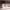 https://res.cloudinary.com/billionhands/image/upload/v1775187037/items/shhwnpn4l75hhr1pw3yf.jpg-1cover