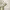 Best historical decorative art pieces online cover