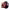 https://res.cloudinary.com/billionhands/image/upload/v1775187146/items/zlcpqnjipj1evkxnzhas.jpg-2cover